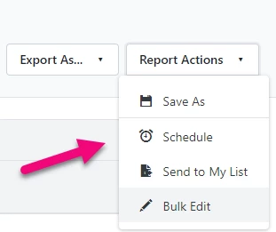 Report Actions (Schedule)