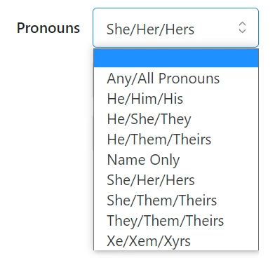 Blank space in the pronoun dropdown is chosen