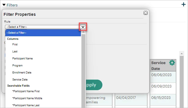 11474828-How_do_I_add_a_report_filter_Native_Reporting-Snag_1ee4ccf4.png