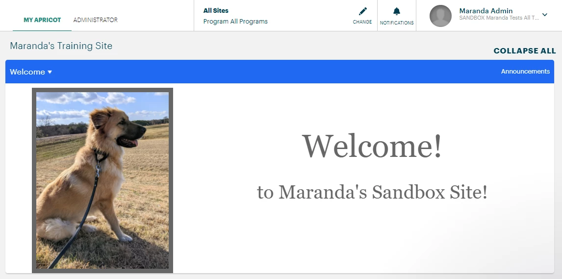 11475128-How_do_I_use_an_Apricot_Sandbox_database-image_3.png