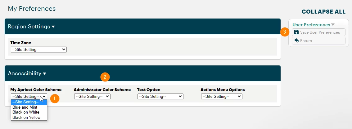 11475421-How_do_I_manage_accessibility_settings_in_Apricot-image_3.png
