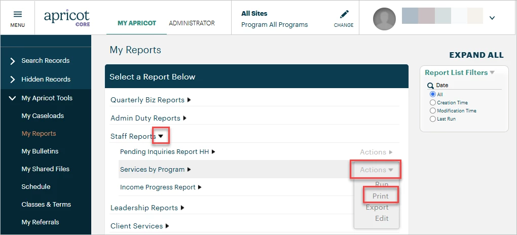 11475462-How_do_I_print_a_report_Native_Reporting-Snag_309531.png