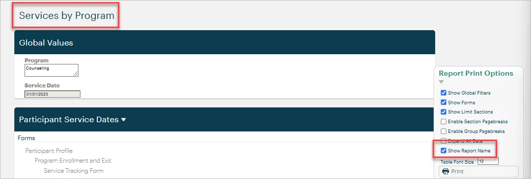 11475462-How_do_I_print_a_report_Native_Reporting-Snag_35855a.png