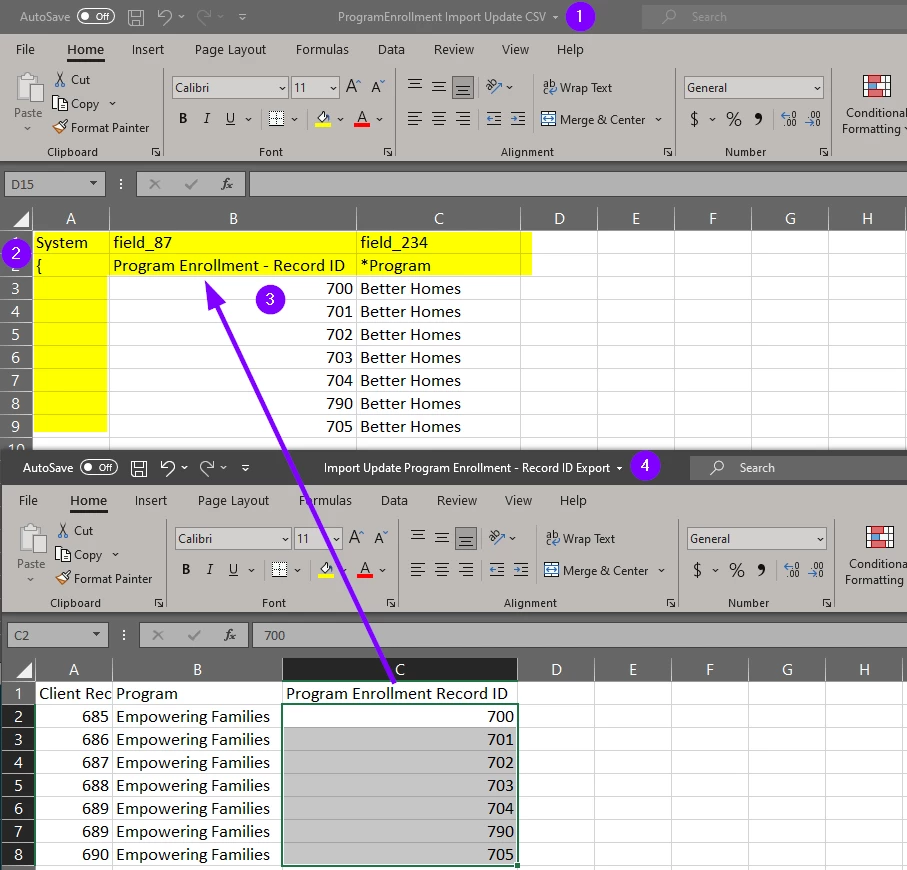 11475625-How_do_I_update_multiple_Tier_2_records_with_the_Import_tool-image_3.png