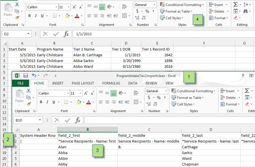 11475644-How_do_I_create_multiple_Tier_2_records_with_the_Import_tool-image_13.png