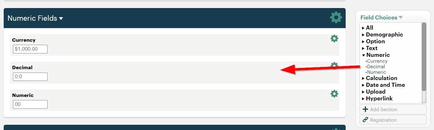 11475672-What_numeric_fields_are_available_in_a_form-Numeric2BFields2B1.jpg