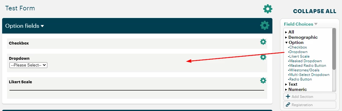11475698-What_option_fields_are_available_in_a_form-image.png