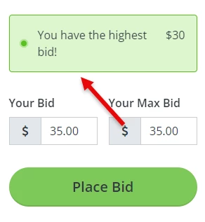 9756931-How_do_I_guide_a_bidder_in_bidding_on_an_item-Now+Have+Highest+Bid.png