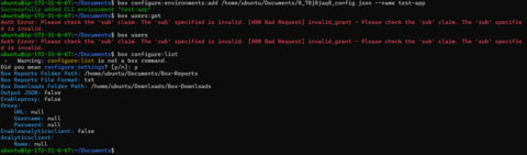 BOX-CLI authentication with JWT raising Auth Error