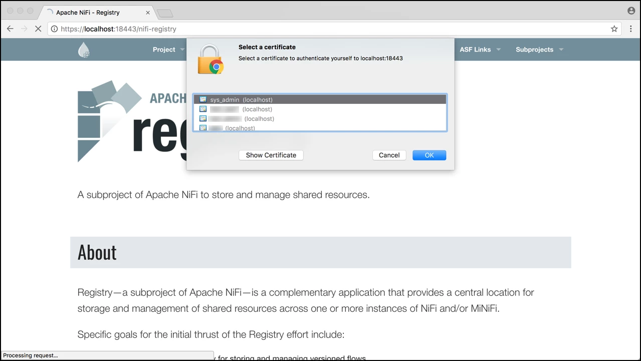60464-2-add-cert-to-browser.png 60464-2-add-cert-to-browser.png