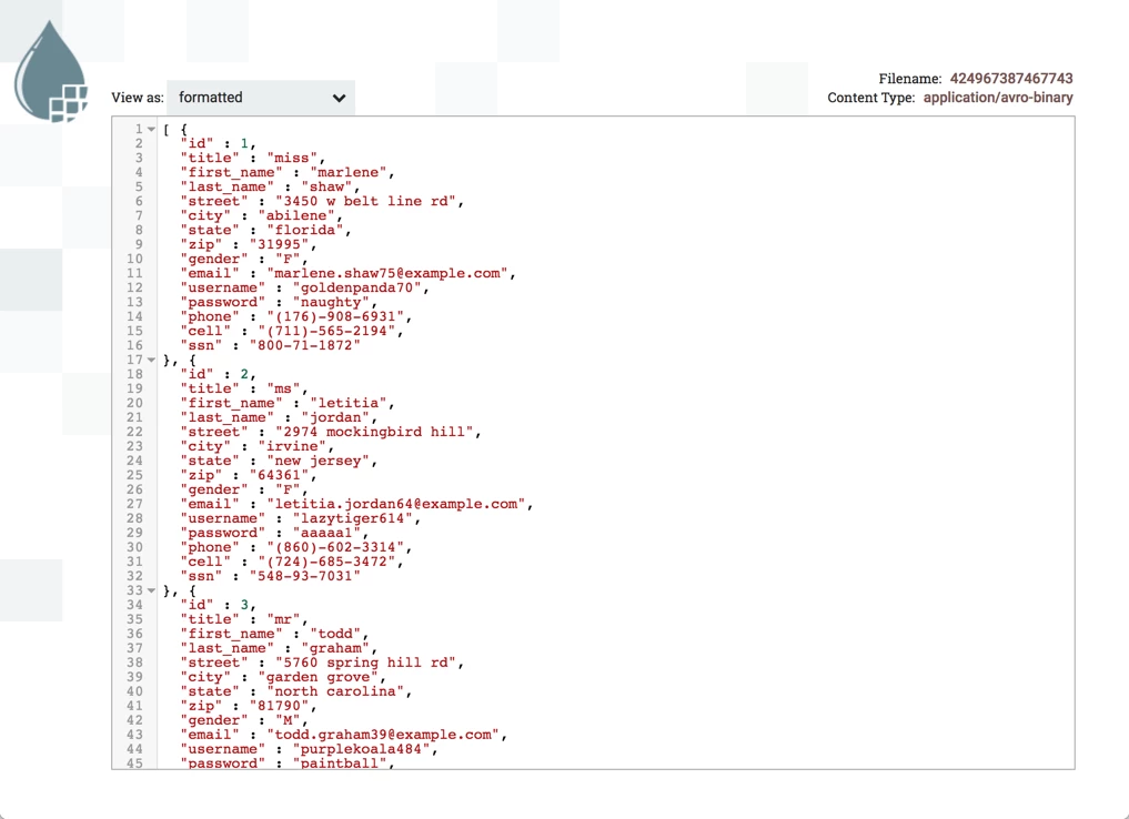 41494-15-querydatabasetable-flowfile-contents.png