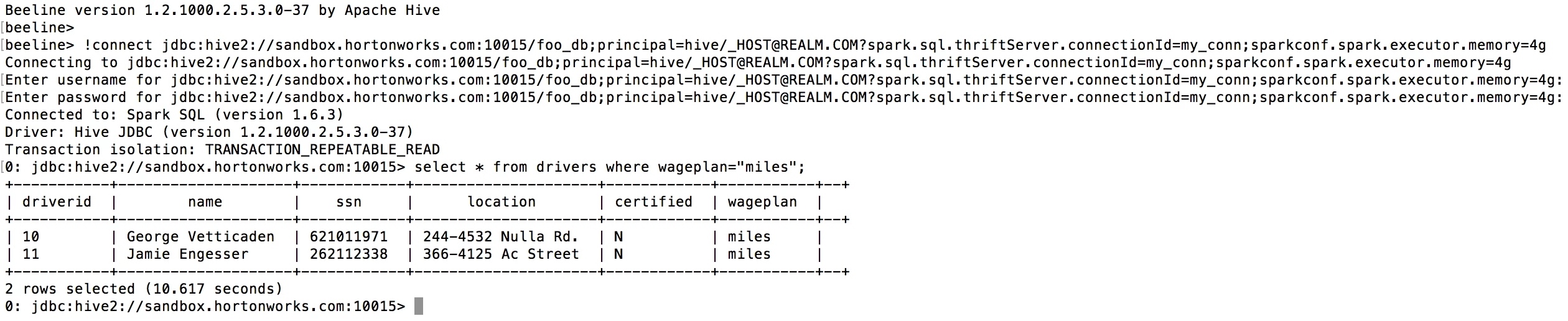 15157-beeline-spark-conf.png