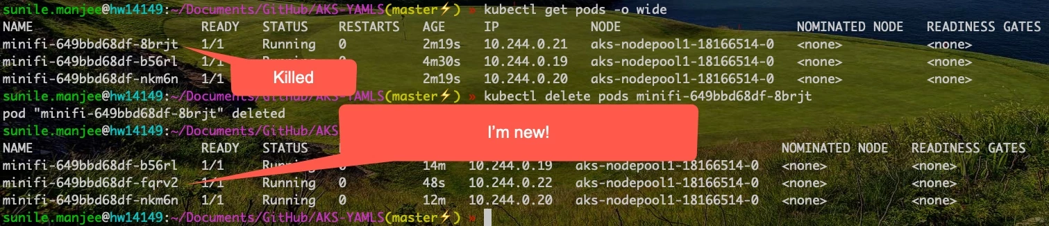 110411-2019-08-14-15-13-55.jpg 110411-2019-08-14-15-13-55.jpg