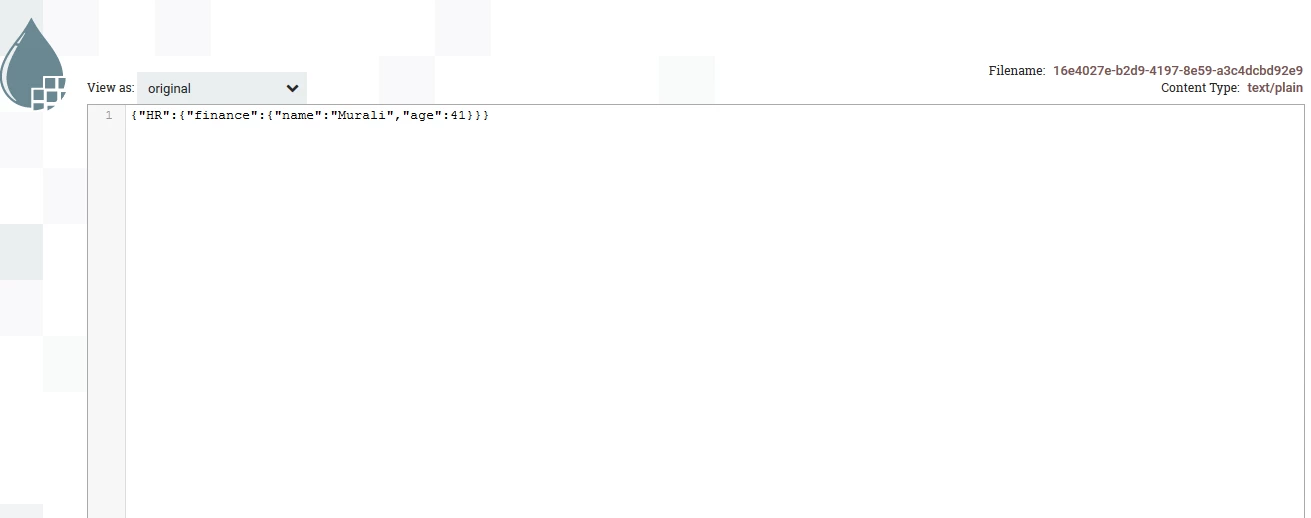 ConsumerJson.PNG