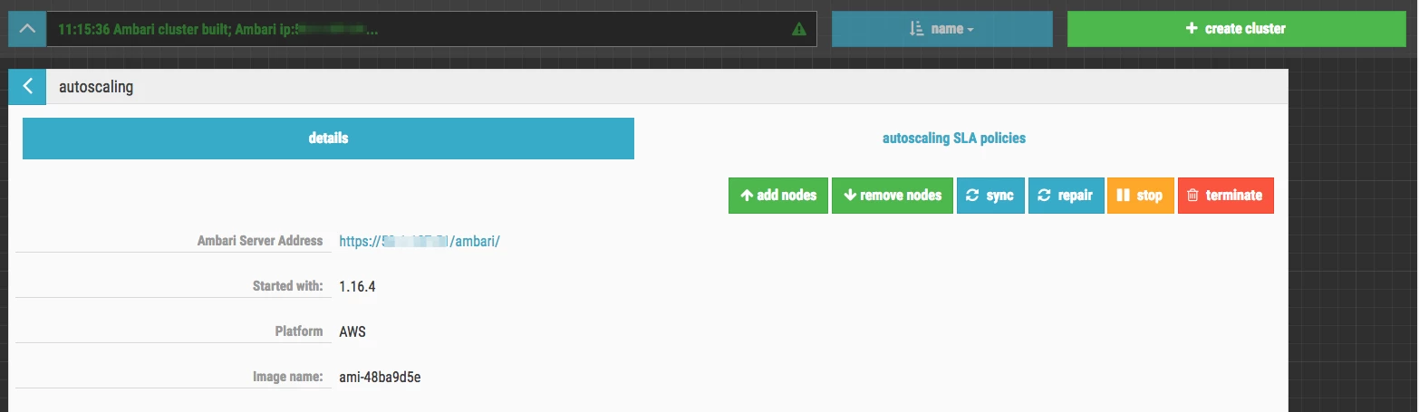 41398-cloudbreak-cluster-details.png
