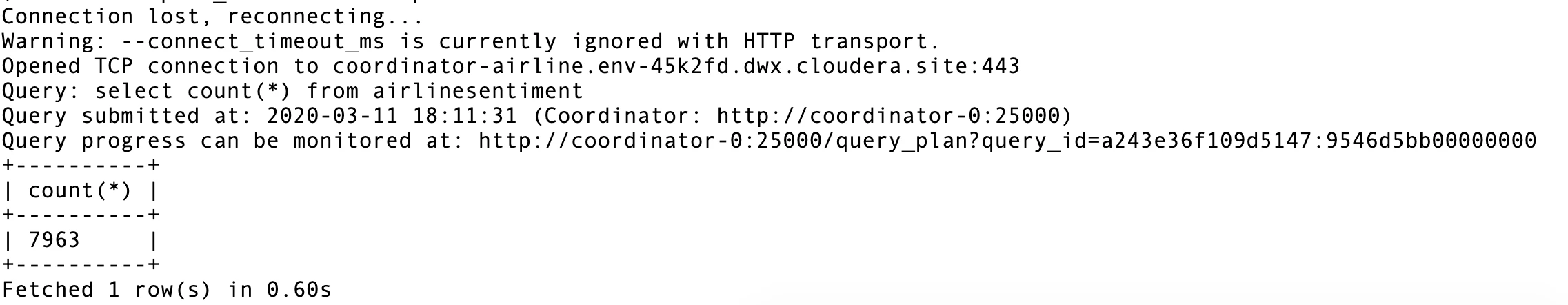 img_18_commandLineQuery.png