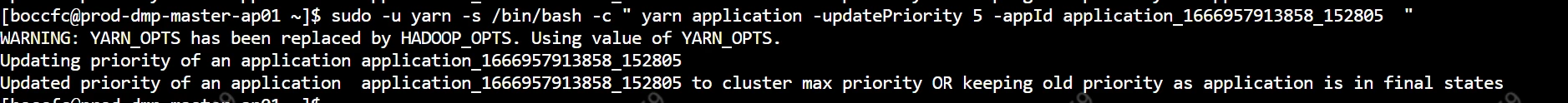 bulbcat_1-1669705217757.png