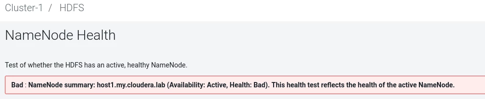 namenode bad health.PNG