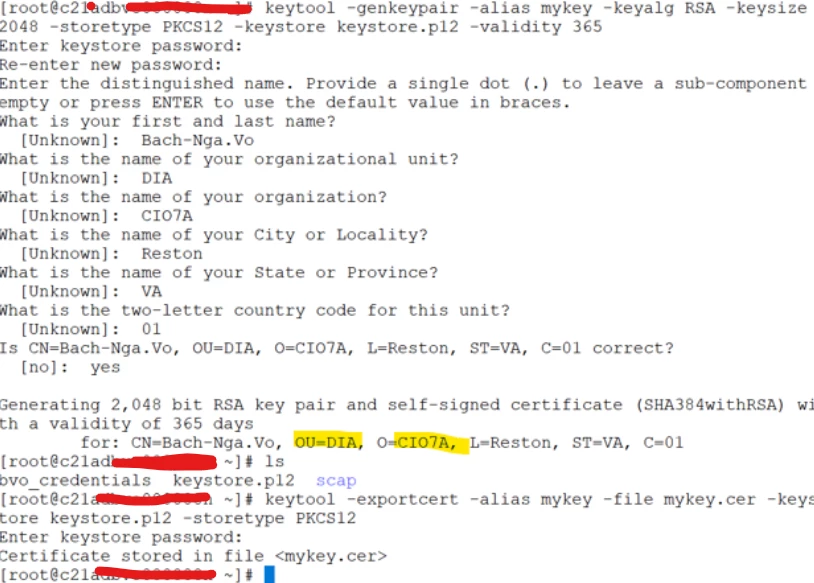 PepeVo_7-1767895047884.png