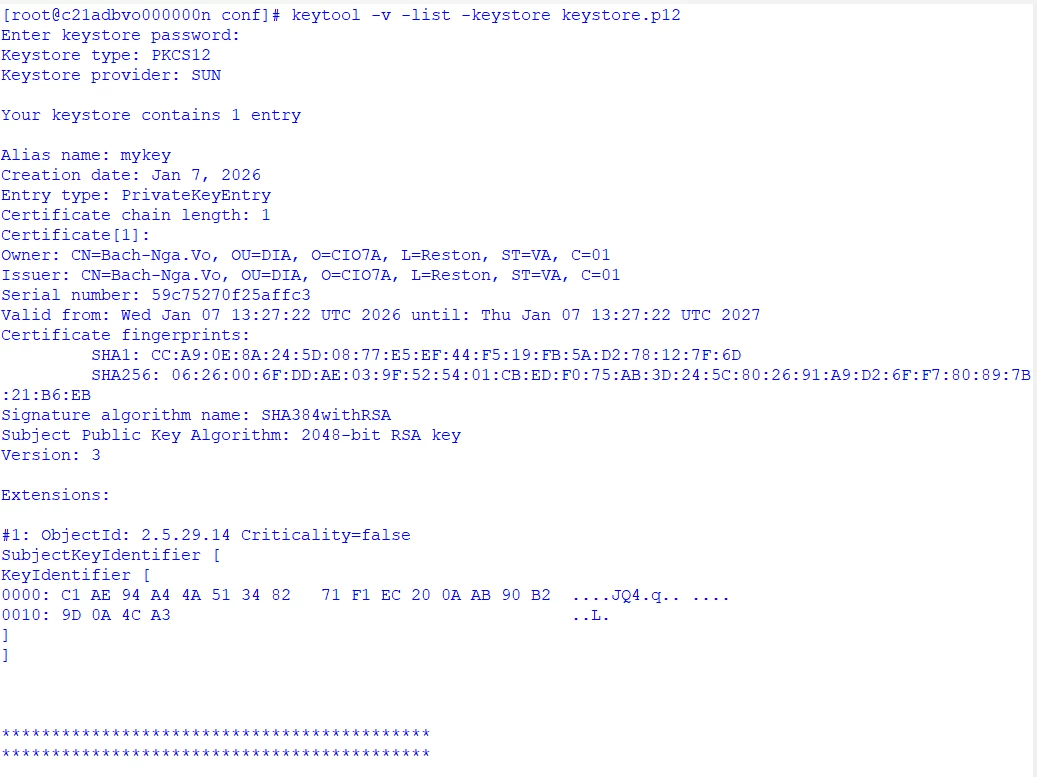 PepeVo_1-1767967428415.png