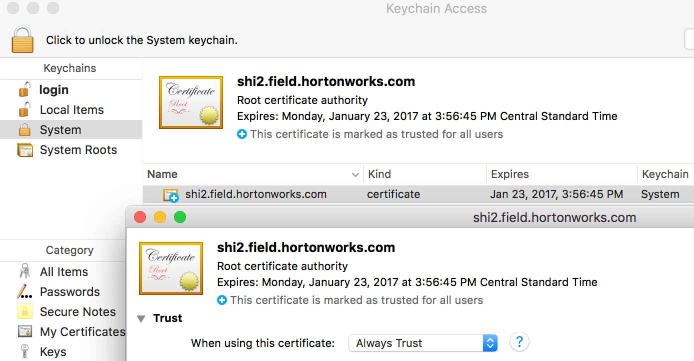 11244-screen-shot-2017-01-08-at-11136-pm.png
