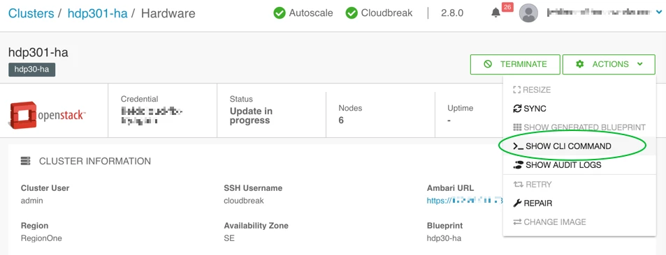 92521-cluster-view-show-cli-command.png