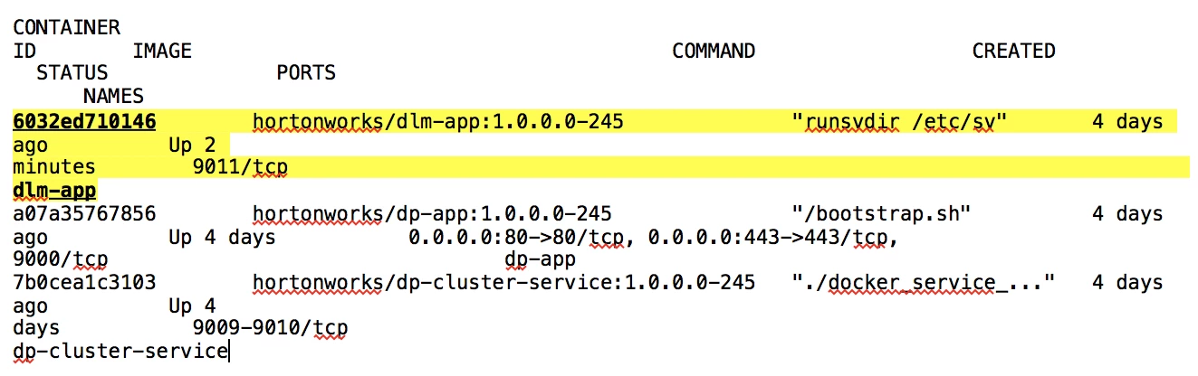77570-docker-ps-output.png