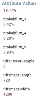 76439-yolokerasimageanalysis.png