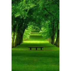 Raj_B