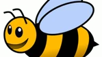 MrBee