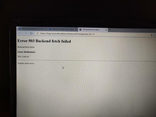 error 503 backend fetch failed