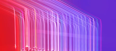 Fabric 50G Multipoint Connections: When to Use it and What to Expect