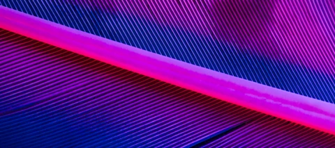 Network Edge – 25G Virtual Connection Support for EIA: When to Use it and What to Expect