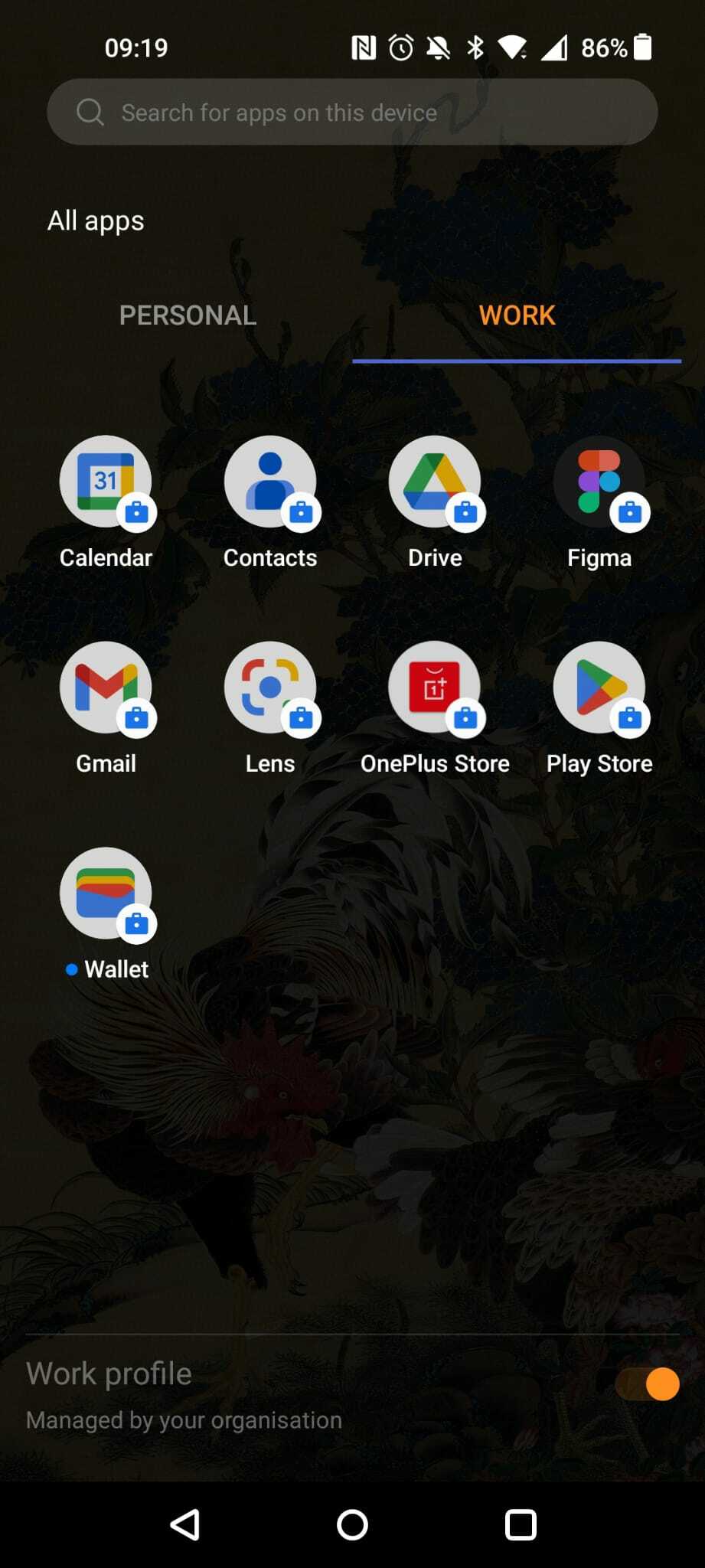 Android12-OnePlus-googleWorkEnvironement