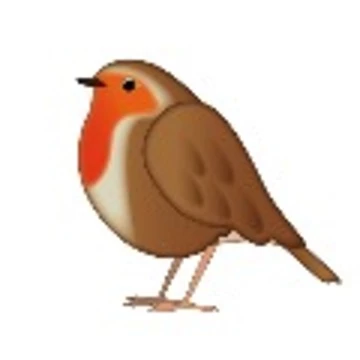 robin.silberling