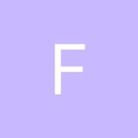 Fin_20