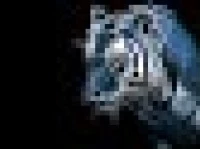 Axeedo Dragnir