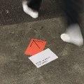 toilatinhs
