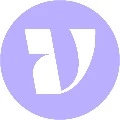 Vision Team