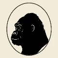 Built by APE