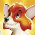 Simon_Zotter