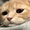 KKU