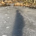 simendustavsson