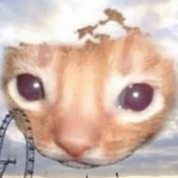 Hisst
