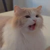 유도훈