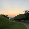 이수영