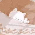 NAP