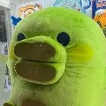 주댕치