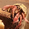 이선영
