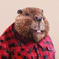 Phil_J
